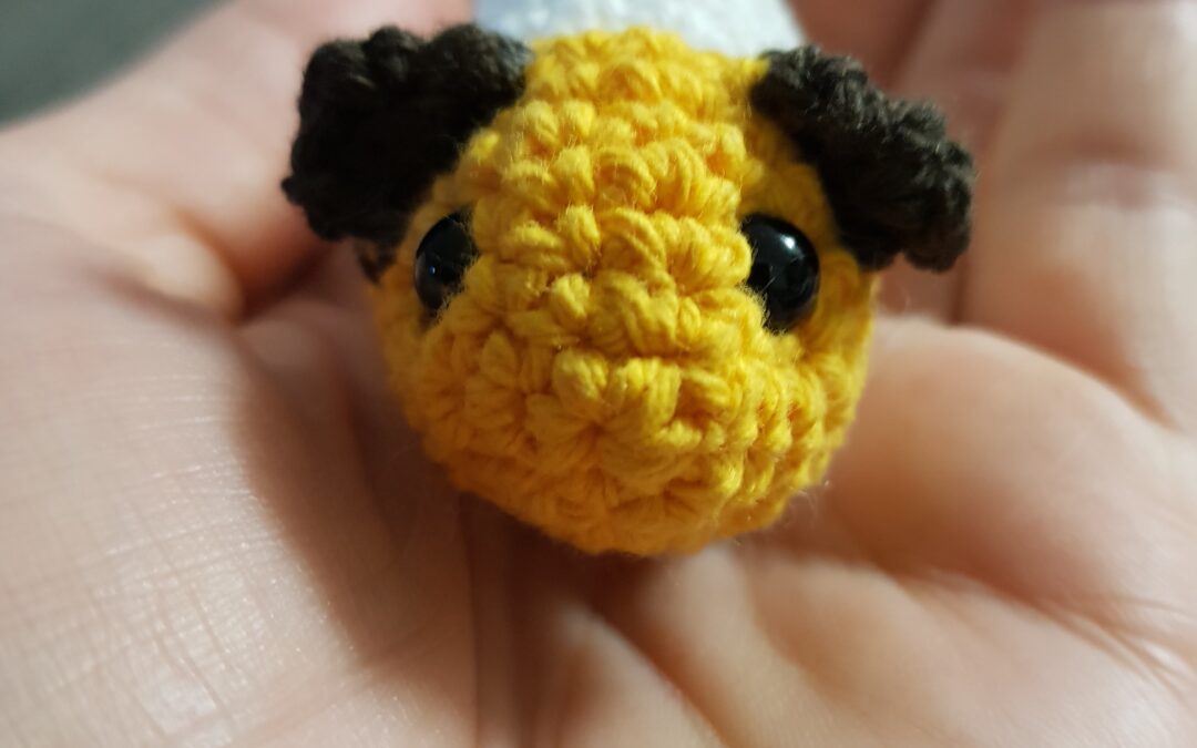 Mini cochon d&rsquo;inde est parmi nouuuuuuuuus ^^